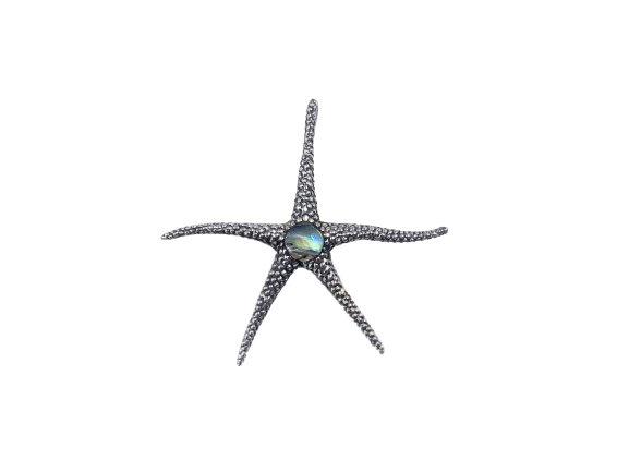 Pingente Estrela do Mar Escurecida com Abalone - Prata 925