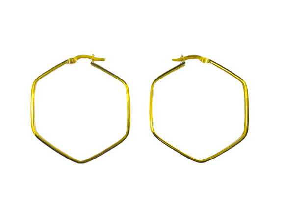 Brinco Argola Fio Redondo Sextavada - Ouro 18k